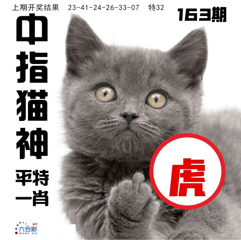 163期中指猫神[图]